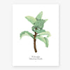 All The Ways To Say: Kalanchoe Print